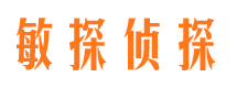 石嘴山市私家侦探